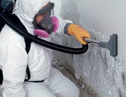 Professional Mold Removal & Remediation in Chester Center, CT